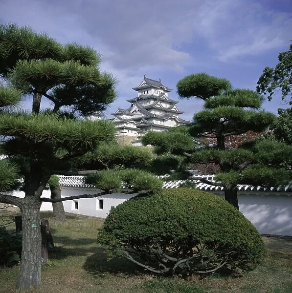 Trees in front of Himeji-jo (Himeji Castle)