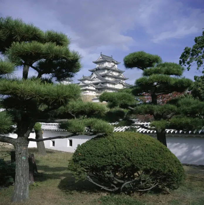 Framed Print : Trees in front of Himeji-jo (Himeji Castle) Framed Print : Trees in front of Himeji-jo (Himeji Castle)