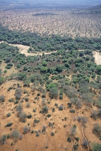 Trees mark a dry riverbed or Lugga which may only flow