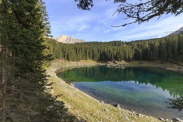 Trees reflected in the green waters of Lake Carezza, Catinaccio Group, Ega Valley