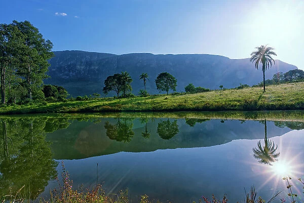 Trees reflecting in a pond, Serra da Canastra, Minas Gerais state, Brazil, South America