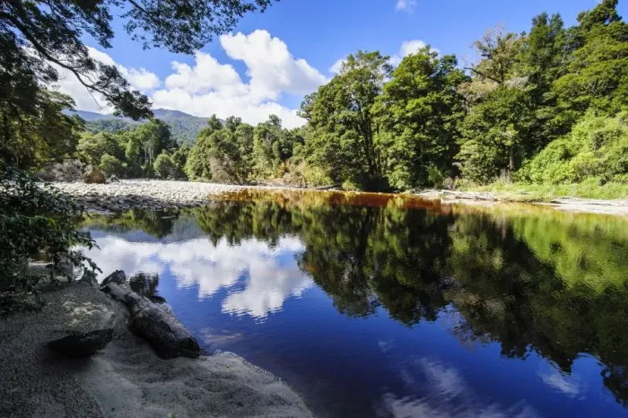Framed Print : Trees reflecting in the water, Mirror Tarn, Oparara Basin, Karamea, West Coast, South Island, New Zealand, Pacific Framed Print : Trees reflecting in the water, Mirror Tarn, Oparara Basin, Karamea, West Coast, South Island, New Zealand, Pacific
