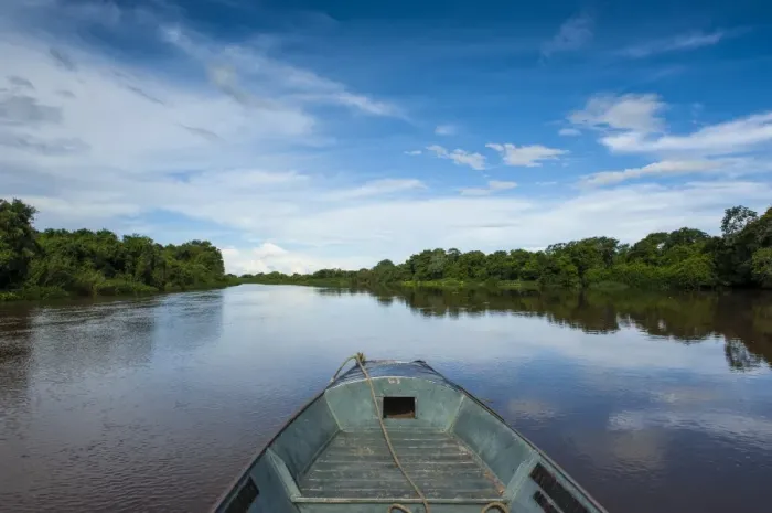 Framed Print : Trees reflecting in the water in a river in the Pantanal, UNESCO World Heritage Site, Brazil, South America Framed Print : Trees reflecting in the water in a river in the Pantanal, UNESCO World Heritage Site, Brazil, South America