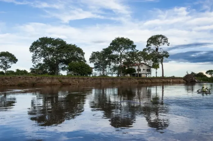 Framed Print : Trees reflecting in the water in a river in the Pantanal Conservation Area, UNESCO World Heritage Site, Brazil, South America Framed Print : Trees reflecting in the water in a river in the Pantanal Conservation Area, UNESCO World Heritage Site, Brazil, South America