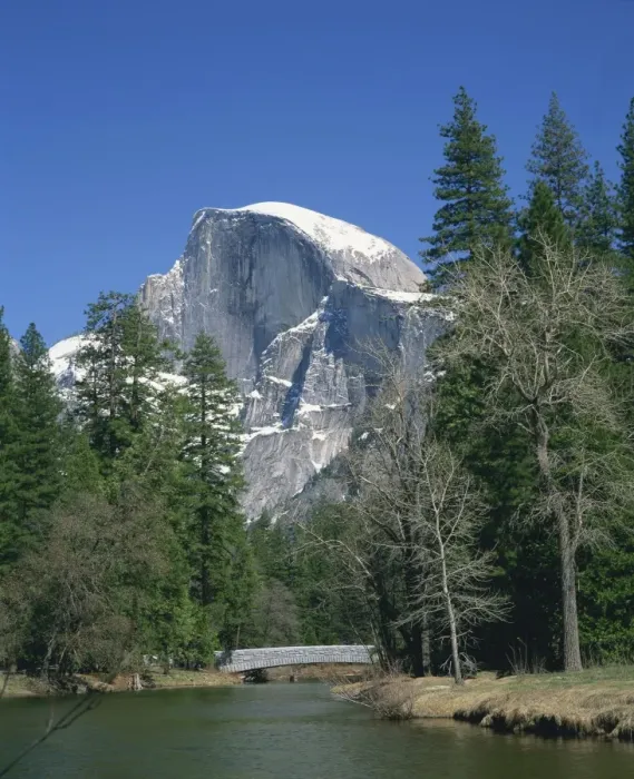 Framed Print : Trees beside a river frame the snow capped Half Dome Framed Print : Trees beside a river frame the snow capped Half Dome