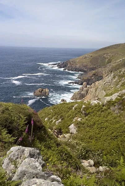 Tregerthen cliff, near St. Ives, Cornwall, England, United Kingdom, Europe