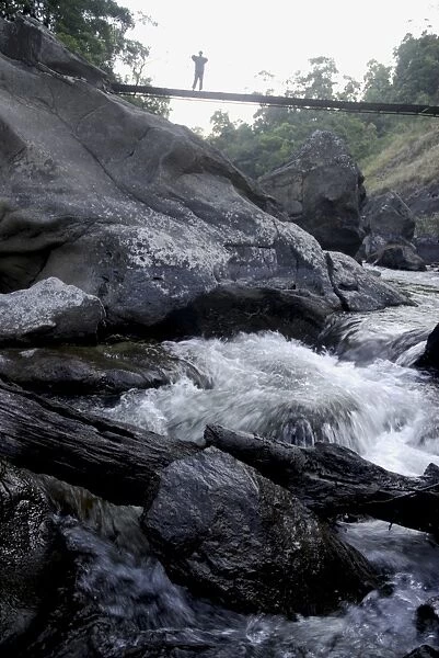 Trek path to Kunthipuzha, Silent Valley National Park, Palakkad District, Kerala, India, Asia