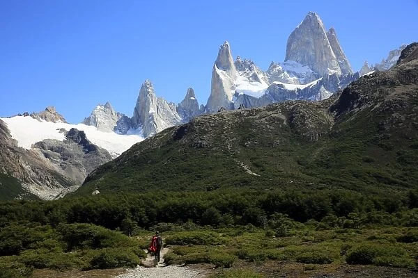 Trekking under Monte Fitz Roy, El Chalten, Argentine Patagonia, Argentina, South America