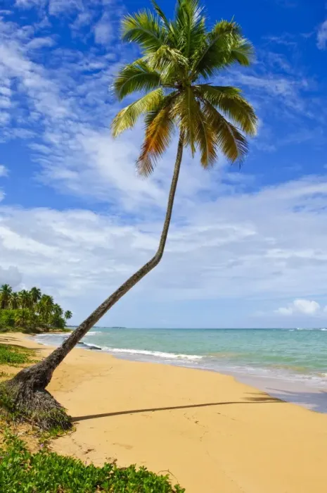 Framed Print : Tres Palmitas Beach, Puerto Rico, West Indies, Caribbean, Central America Framed Print : Tres Palmitas Beach, Puerto Rico, West Indies, Caribbean, Central America