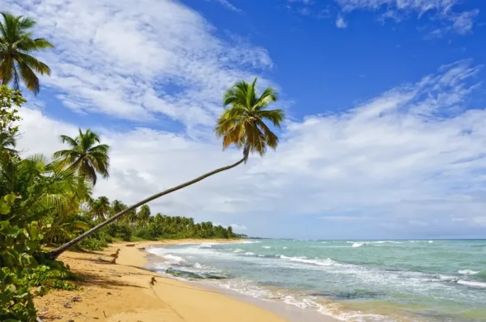Framed Print : Tres Palmitas Beach, Puerto Rico, West Indies, Caribbean, Central America Framed Print : Tres Palmitas Beach, Puerto Rico, West Indies, Caribbean, Central America