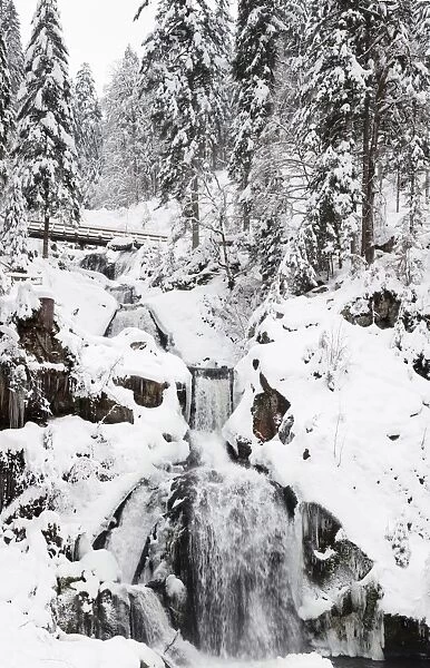 Triberg Waterfalls in winter, Triberg, Black Forest, Baden-Wurttemberg, Germany, Europe