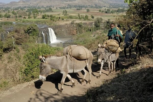 Tribesman, Blue Nile Falls, Ethiopia, Africa