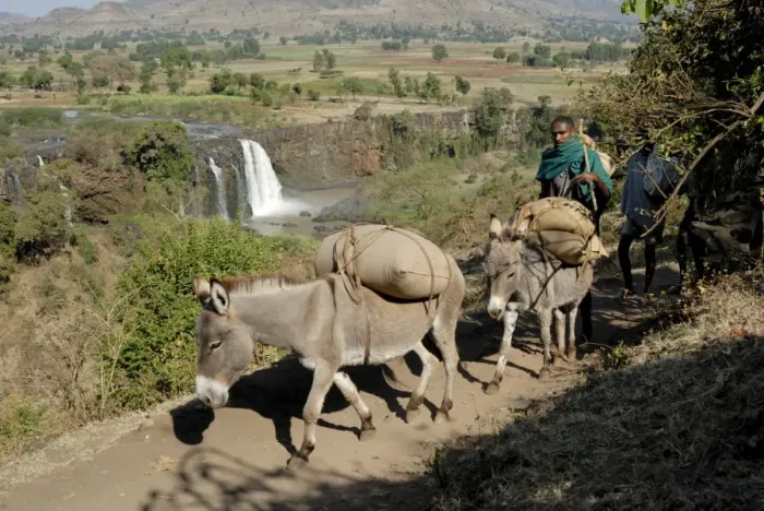 Framed Print : Tribesman, Blue Nile Falls, Ethiopia, Africa Framed Print : Tribesman, Blue Nile Falls, Ethiopia, Africa