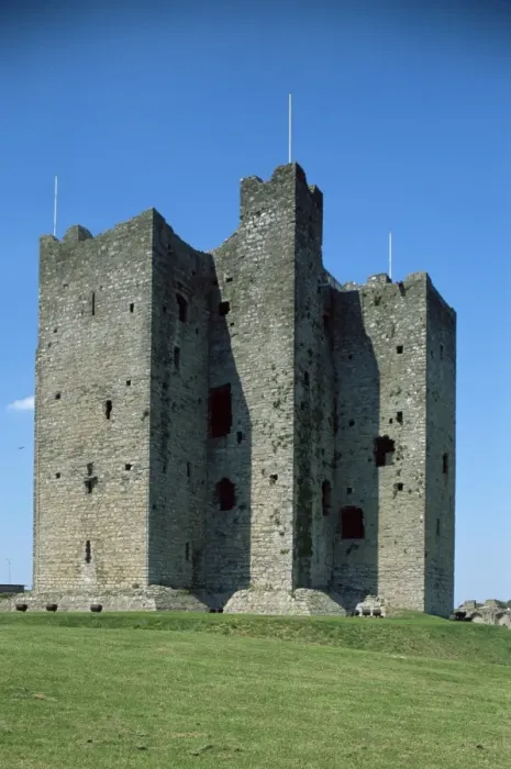 Framed Print : Trim castle Framed Print : Trim castle
