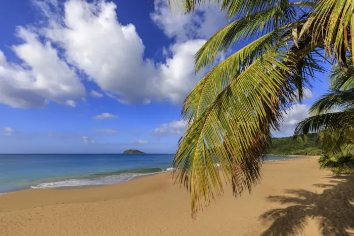 Framed Print : Tropical Anse de la Perle beach, palm trees, golden sand, blue sea Framed Print : Tropical Anse de la Perle beach, palm trees, golden sand, blue sea
