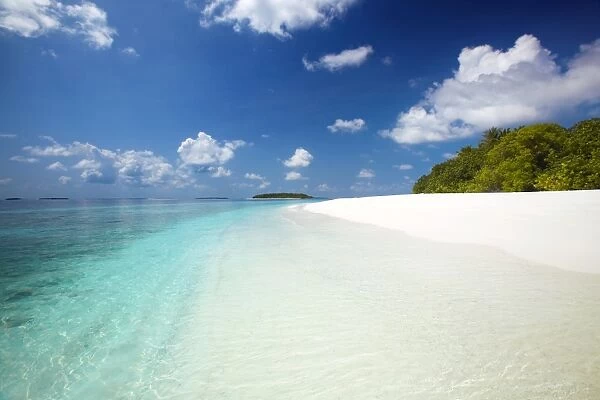 Tropical beach, Baa Atoll, Maldives, Indian Ocean, Asia