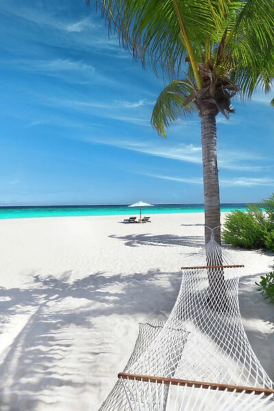 Tropical beach, landscape with hammock and white sand, The Maldives, Indian Ocean, Asia