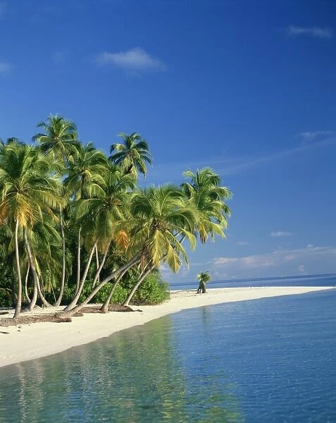 Tropical beach with palm trees at Kudabandos in the Maldive Islands