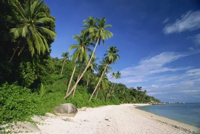 Framed Print : Tropical beach and palm trees on Perhentian Besar Framed Print : Tropical beach and palm trees on Perhentian Besar