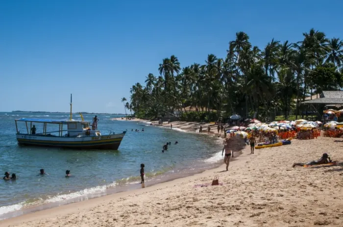 Framed Print : Tropical beach in Praia do Forte, Bahia, Brazil, South America Framed Print : Tropical beach in Praia do Forte, Bahia, Brazil, South America