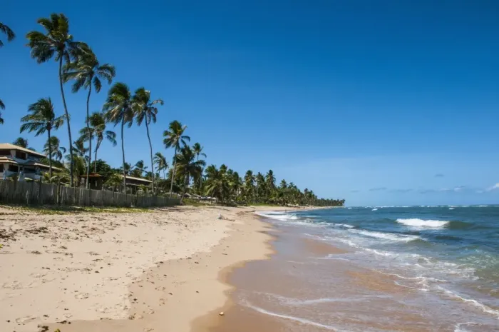 Framed Print : Tropical beach in Praia do Forte, Bahia, Brazil, South America Framed Print : Tropical beach in Praia do Forte, Bahia, Brazil, South America