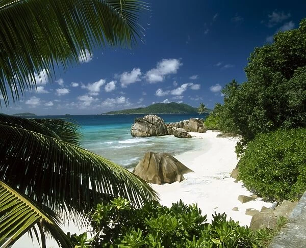 Tropical beach scene