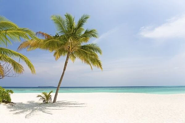 Tropical beach scene, Coco Palm Resort, Dhuni Kolhu, Baa Atoll, Republic of Maldives