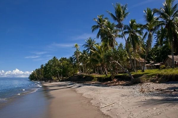 Tropical beach, Solomon Islands, Pacific