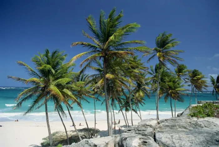 Framed Print : Tropical coastline at Bottom Bay, Barbados, West Indies, Caribbean, Central America Framed Print : Tropical coastline at Bottom Bay, Barbados, West Indies, Caribbean, Central America