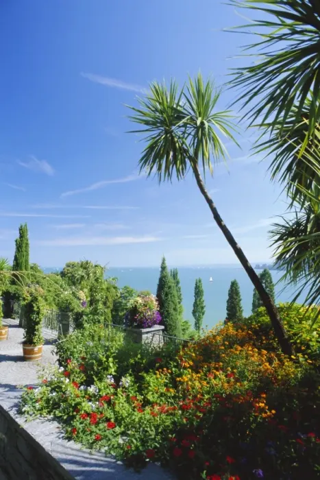 Framed Print : Tropical gardens Framed Print : Tropical gardens