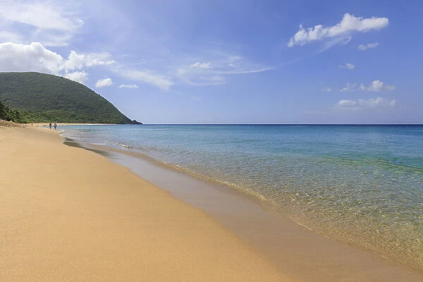 Tropical Grande Anse beach, palm trees, blue sea, golden sand, Deshaies, Basse Terre