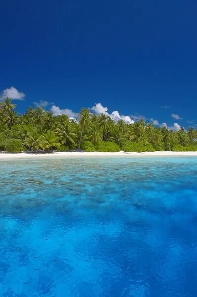 Tropical island and lagoon, the Maldives, Indian Ocean
