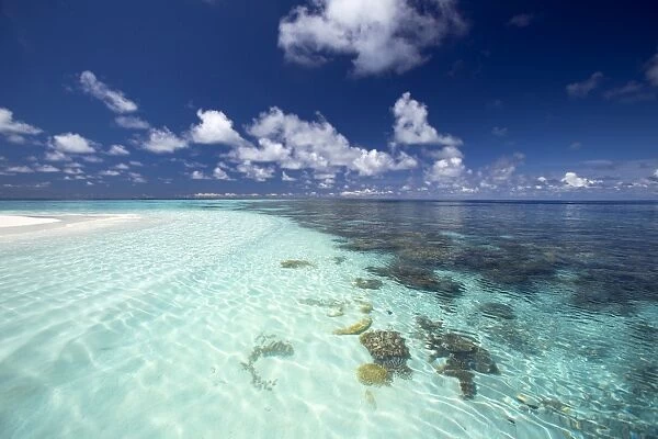 Tropical lagoon and coral reef, Baa Atoll, Maldives, Indian Ocean, Asia
