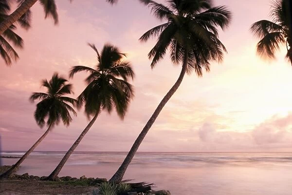 Tropical sunset, Bridgetown, Barbados, West Indies, Caribbean, Central America