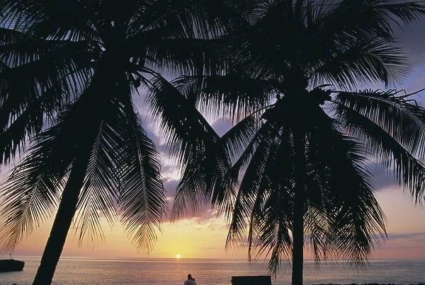 Tropical sunset framed by palm trees, Cayman Islands, West Indies, Central America