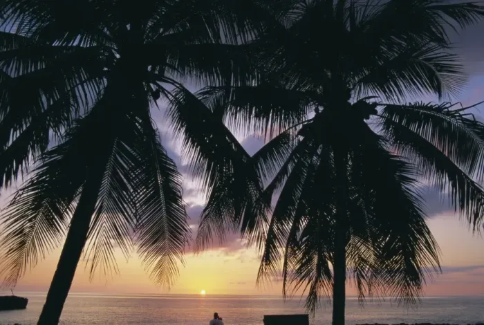 Framed Print : Tropical sunset framed by palm trees, Cayman Islands, West Indies, Central America Framed Print : Tropical sunset framed by palm trees, Cayman Islands, West Indies, Central America