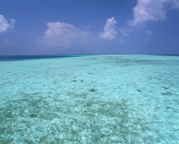 Tropical turquoise sea and blue sky in the Republic of the Maldives, Indian Ocean, Asia