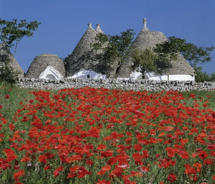 Framed Print : Trulli houses with red poppy field in foreground, near Alberobello, Apulia, Italy, Europe