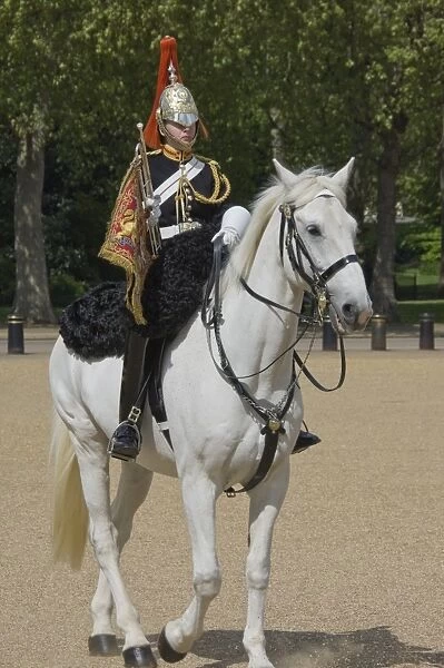 The Trumpeter of the Horse Guards, Horse Guards Parade, London, England