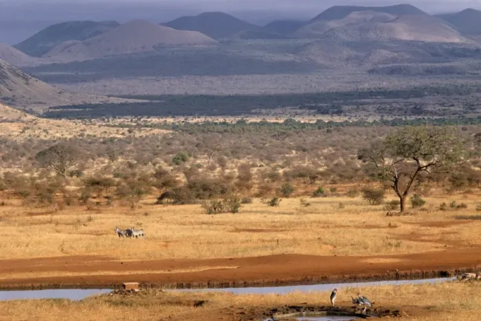 Framed Print : Tsavo National Park Framed Print : Tsavo National Park