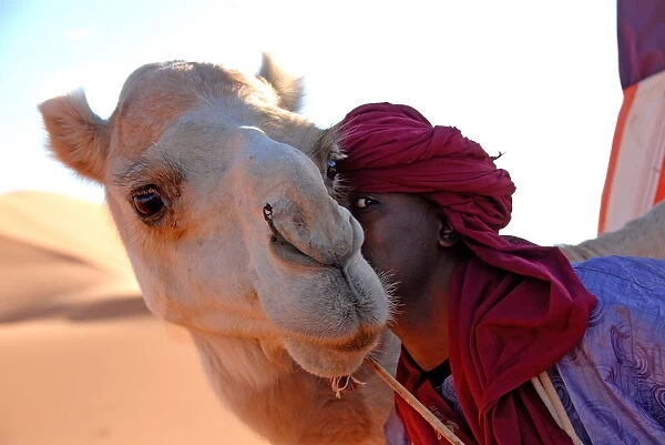 Tuareg and dromedary, Sebha, Ubari, Libya, North Africa, Africa