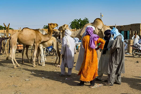 Tuaregs at the animal market, Agadez, Niger, West Africa, Africa
