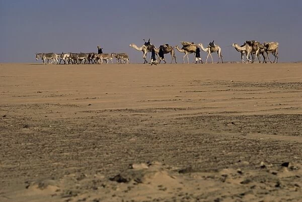 Tuaregs, Azaoua, Niger, Africa
