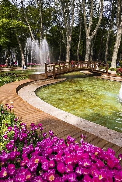 Tulips and fountains in Gulhane Park (Rosehouse Park), Istanbul, Turkey, Europe