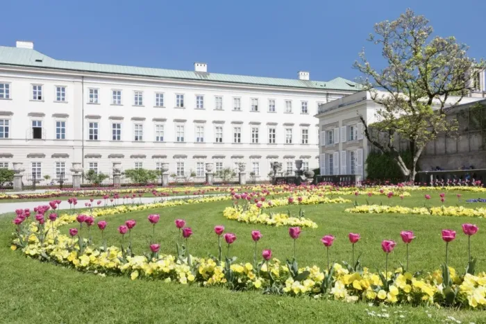 Framed Print : Tulips in Mirabell Garden, Mirabell Palace, UNESCO World Heritage Site, Salzburg, Salzburger Land, Austria, Europe