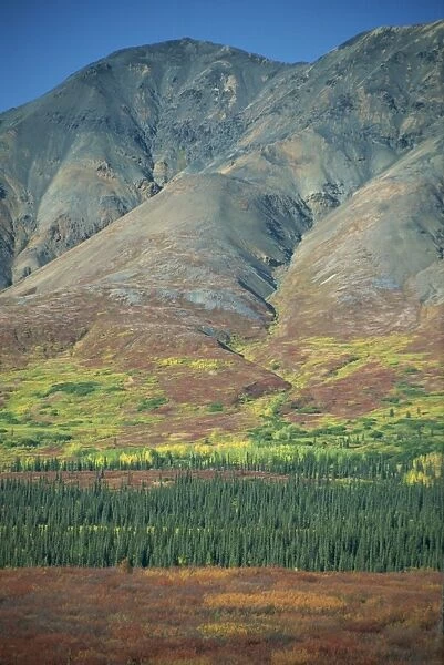 Tundra, Broad Pass