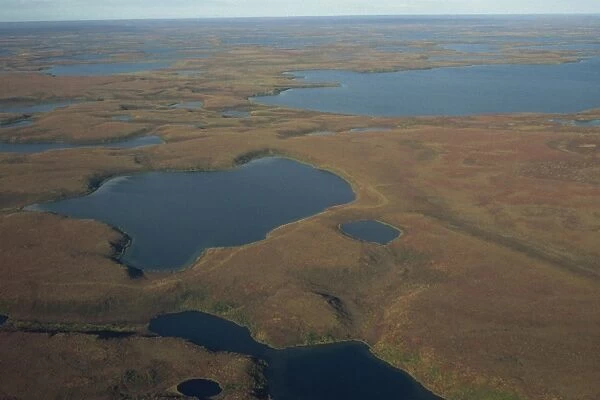 Tundra wetlands, Arctic coast, Northwest Territories, Canada, North America