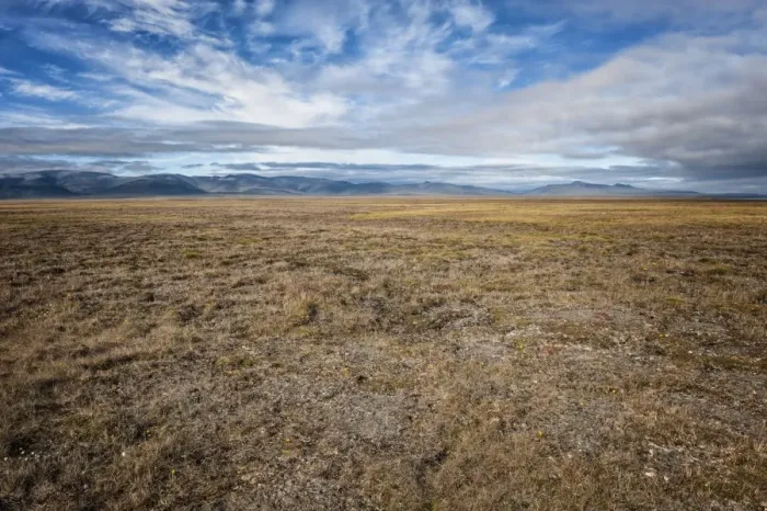 Framed Print : Tundra, Wrangel Island, UNESCO World Heritage Site, Chukotka, Russian Far East, Eurasia Framed Print : Tundra, Wrangel Island, UNESCO World Heritage Site, Chukotka, Russian Far East, Eurasia