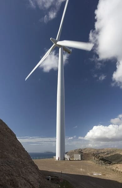 One of the turbines with a person for scale, West Wind wind farm of Meridian Energy at Makara, Wellington, North Island, New Zealand, Pacific