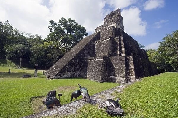 Turkeys at a pyramid in the Mayan ruins of Tikal, UNESCO World Heritage Site